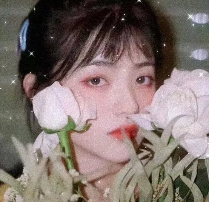 哥哥的少年时代