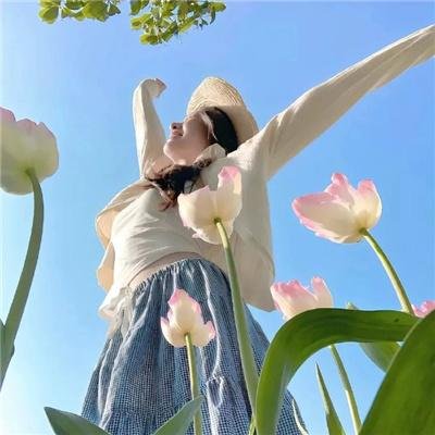 手里剑战队忍忍者